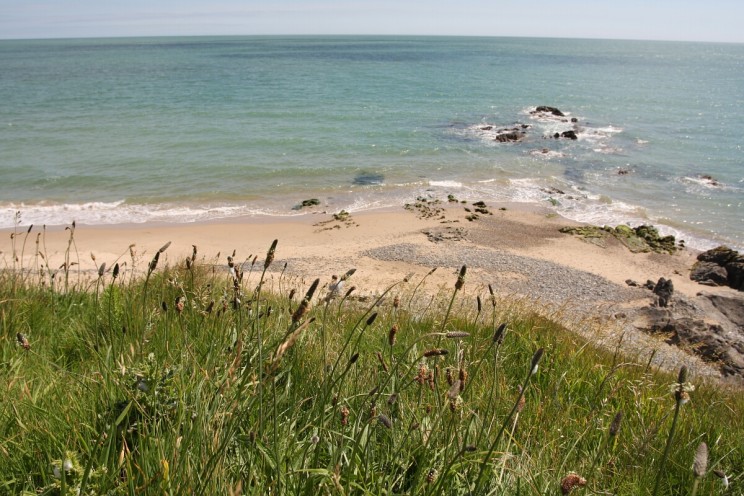 Plaża nieopodal Courtown, hrabstwo Wexford, Irlandia