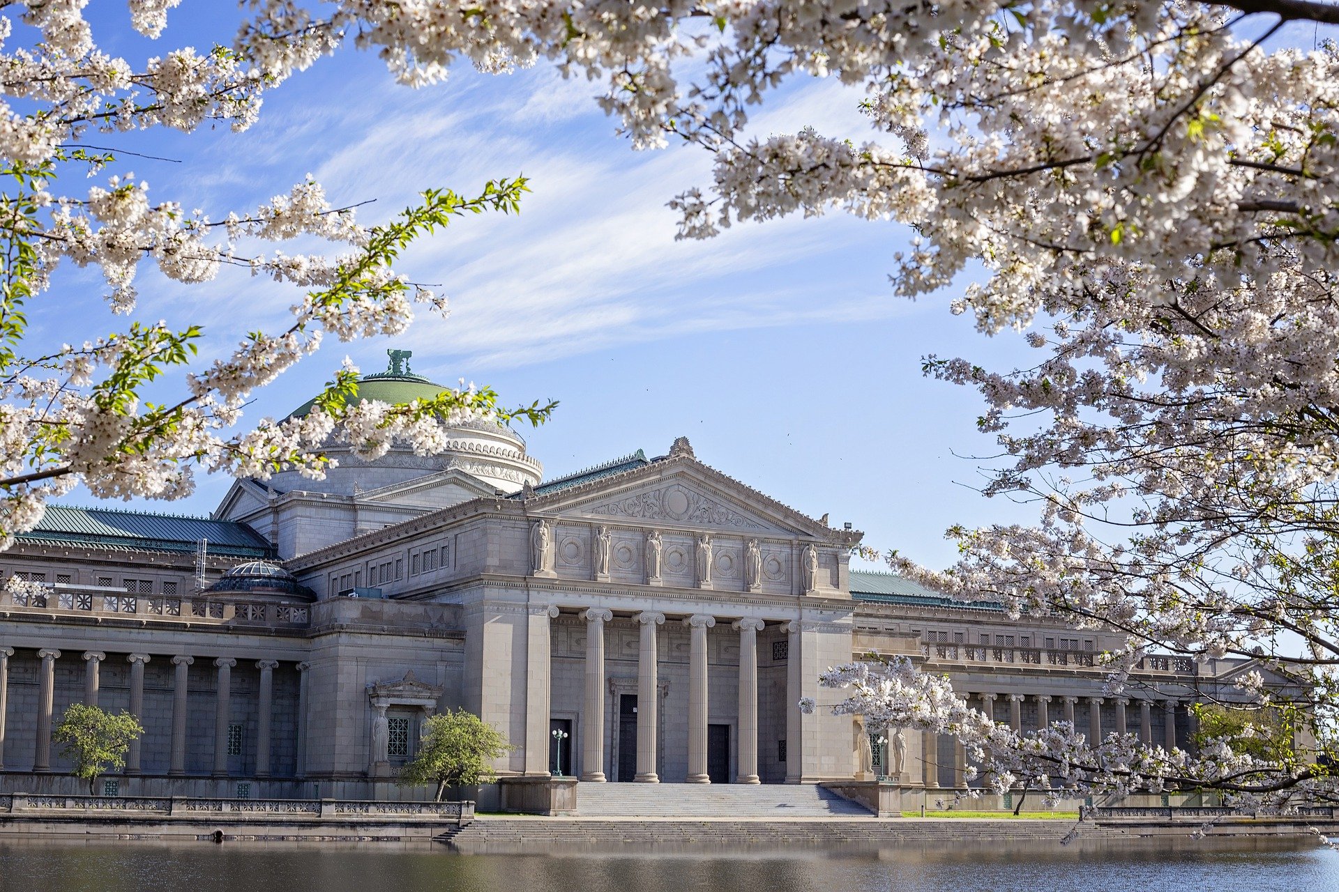 Sakura poza Japonią: Museum of Science and Industry, Chicago
